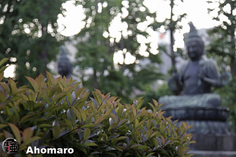 写真00