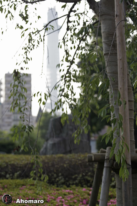 写真00