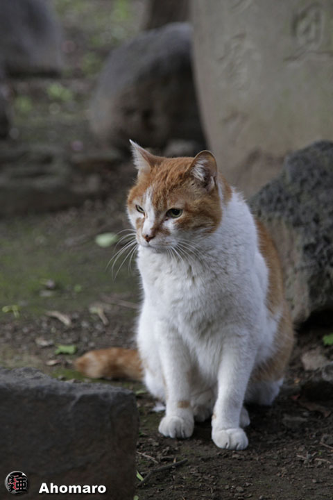 写真00