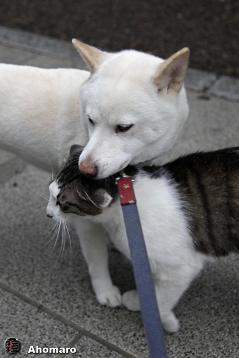 写真00