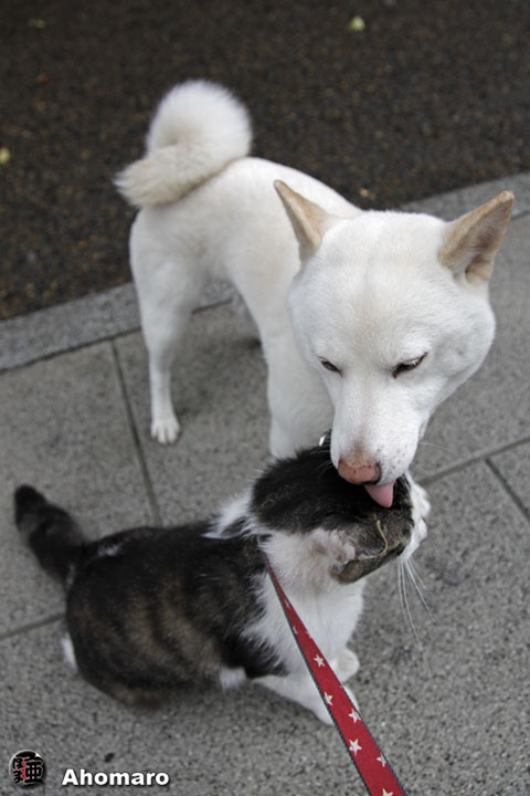 写真00