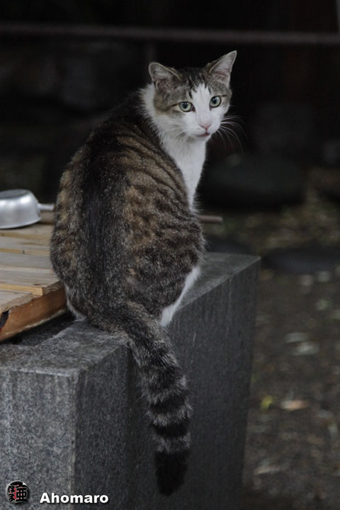 写真00