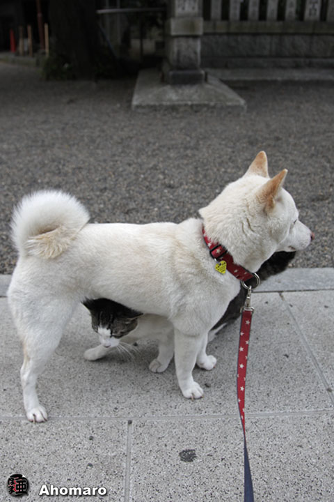 写真00