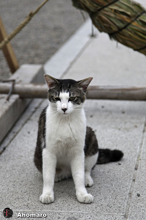 写真00