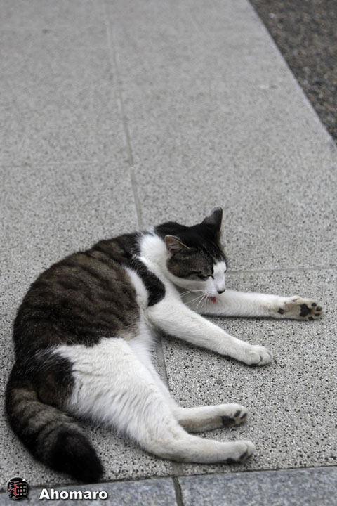 写真00