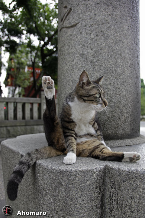 写真00