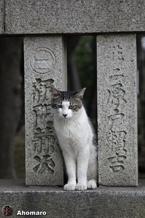 写真00