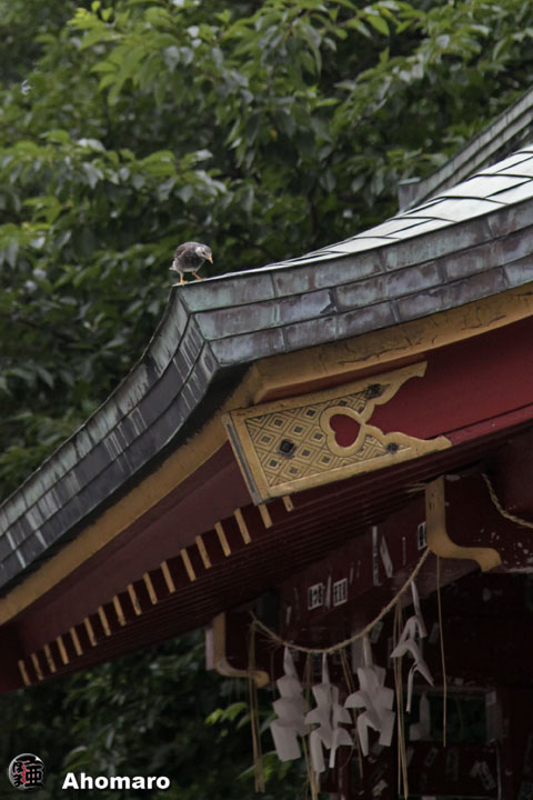 写真00