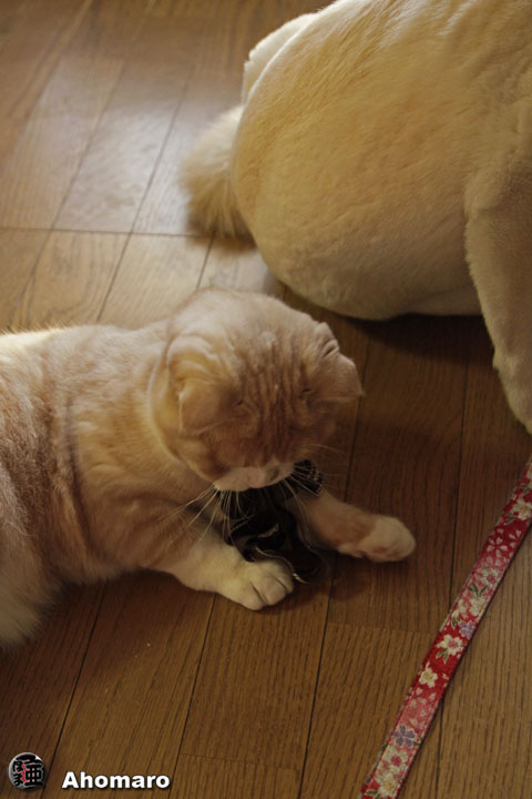 写真00
