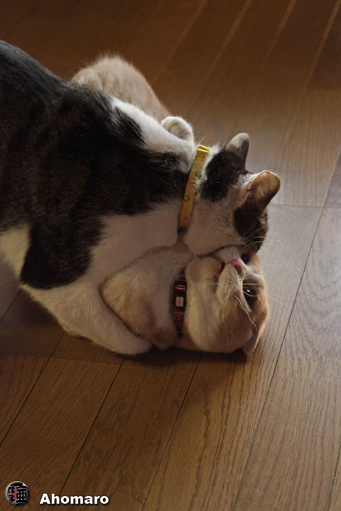 写真00