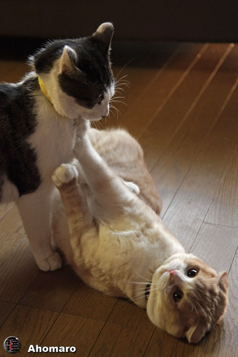 写真00