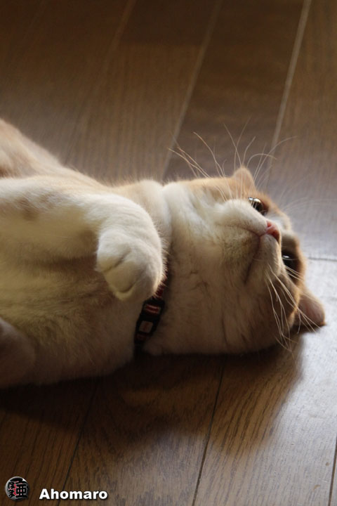 写真00