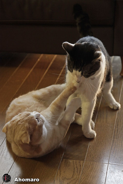 写真00