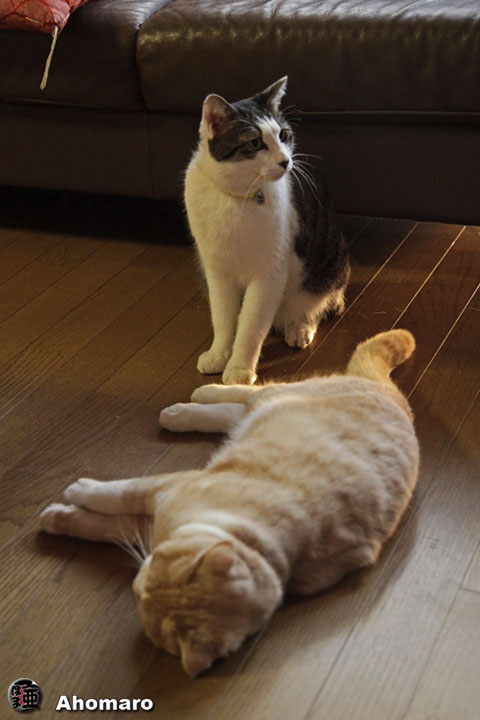 写真00