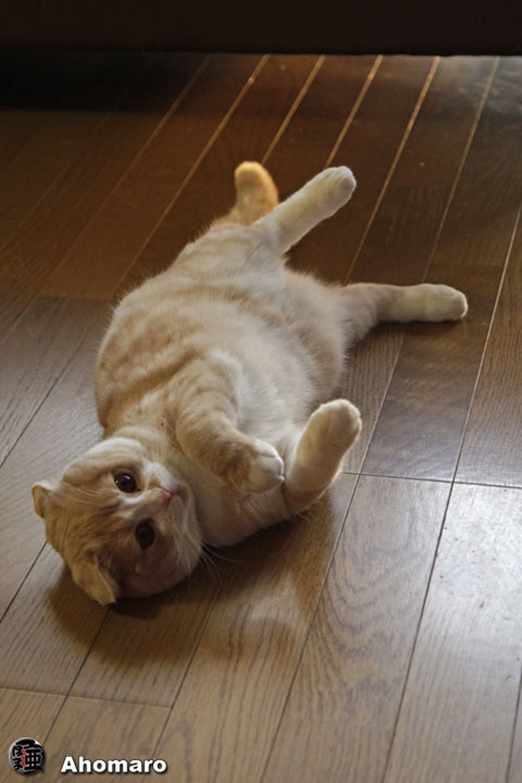 写真00