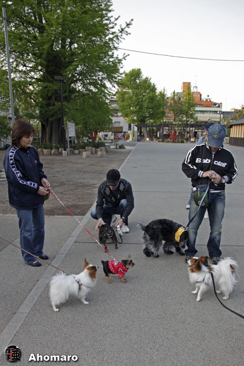 写真00