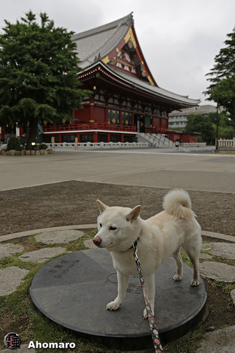写真00