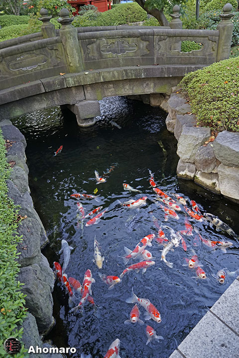 写真00