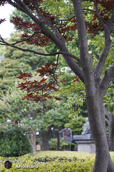 写真00