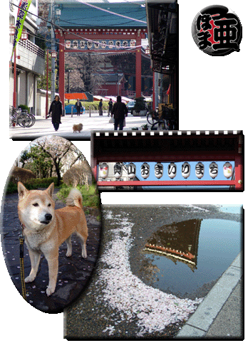 平成16年日記