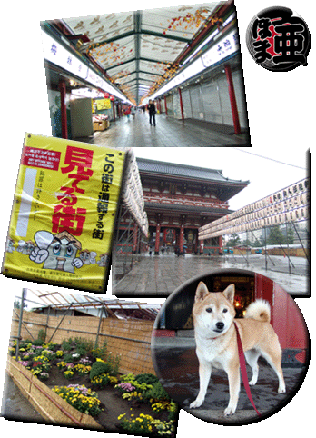 平成16年日記 平成16年日記