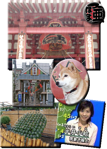 平成16年日記