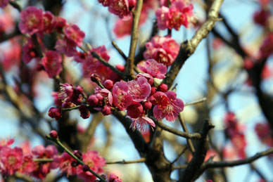 写真13