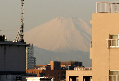 写真11