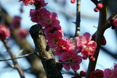 写真13