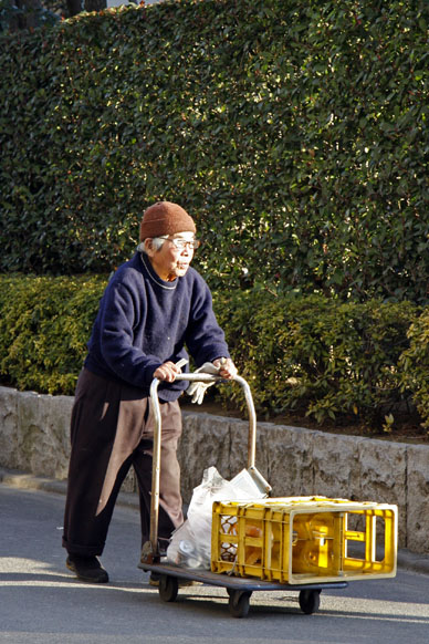 写真7