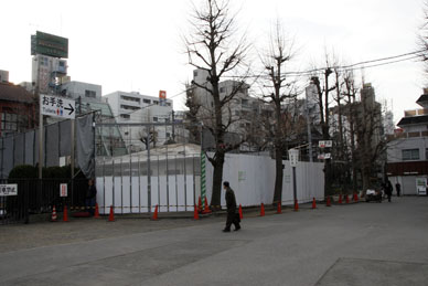 写真3