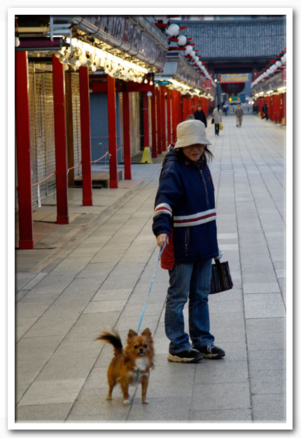 写真1
