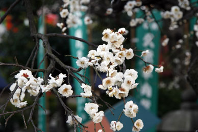 写真7