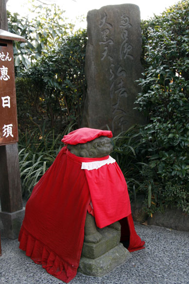 写真9