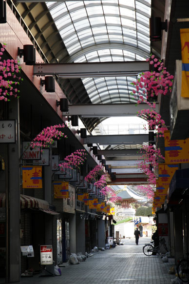 写真12