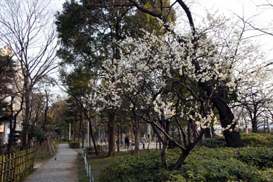 写真9