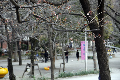 写真12