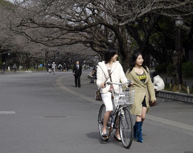 写真15