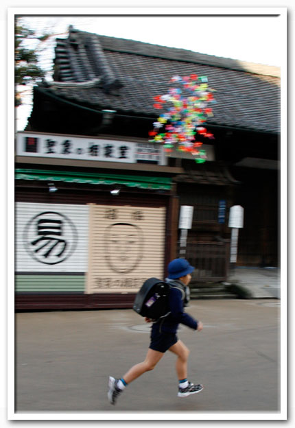 写真1