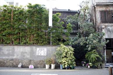 写真14