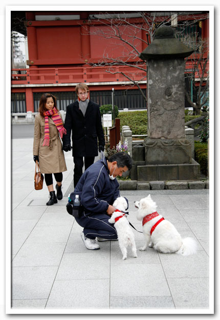 写真1