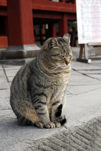 写真00
