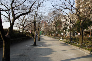 写真12