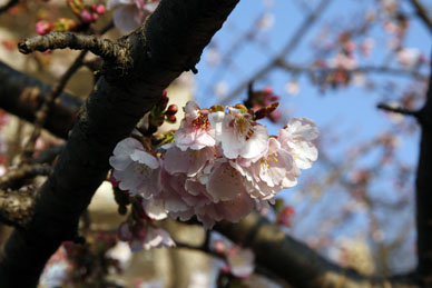 写真14