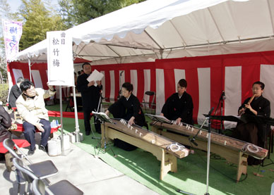 写真15