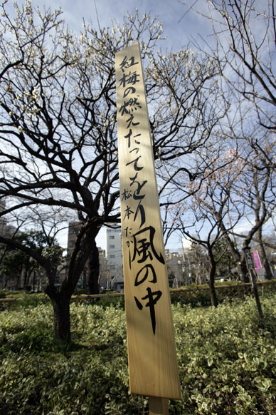 写真15