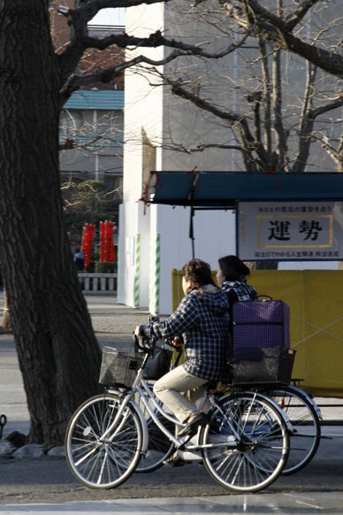 写真12