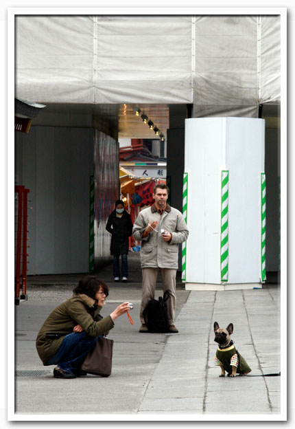 写真1