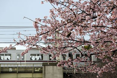 写真00
