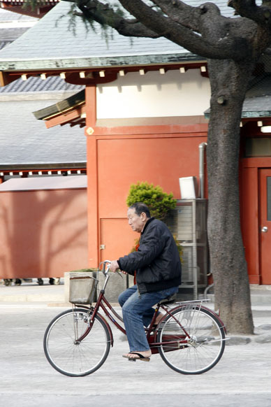 写真12